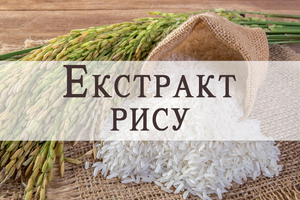 Oryza Sativa (Rice) Extract