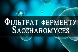 Saccharomyces Ferment Filtrate