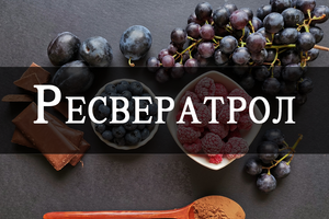 Resveratrol