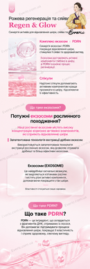 Dr.Reborn Exosome Core Lifting Dual Shot Ampoule 15ml&times;2