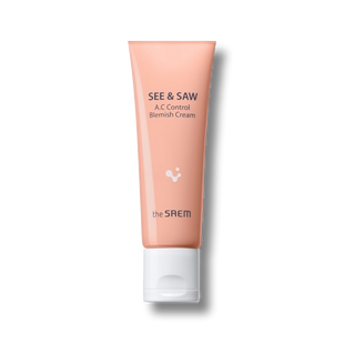 The Saem AC Control Blemish Cream 40ml
