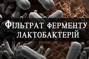 Lactobacillus Ferment Filtrate