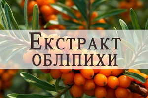 Hippophae Rhamnoides (Sea Buckthorn) Fruit Extract